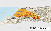 Political Panoramic Map of Xinzhu, shaded relief outside