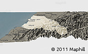 Shaded Relief Panoramic Map of Xinzhu, darken
