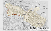 Shaded Relief 3D Map of Akto, desaturated