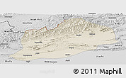 Shaded Relief Panoramic Map of Artux, desaturated