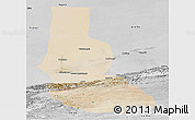 Satellite Panoramic Map of Minfeng, desaturated