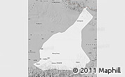 Gray Map of Mori
