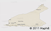 Shaded Relief Panoramic Map of Mori, cropped outside