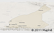 Shaded Relief Panoramic Map of Mori, lighten
