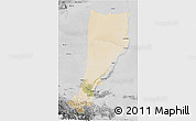 Satellite 3D Map of Moyu, desaturated