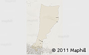 Shaded Relief 3D Map of Moyu, lighten