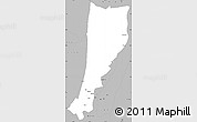 Gray Simple Map of Moyu