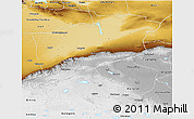 Physical 3D Map of Ruoqiang