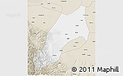 Classic Style 3D Map of Shache