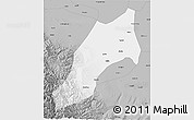 Gray 3D Map of Shache