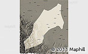 Shaded Relief 3D Map of Shache, darken