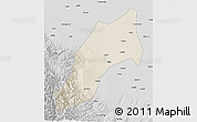 Shaded Relief 3D Map of Shache, desaturated
