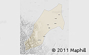 Shaded Relief 3D Map of Shache, lighten, desaturated
