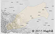 Shaded Relief Panoramic Map of Shache, desaturated