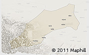 Shaded Relief Panoramic Map of Shache, lighten