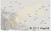 Shaded Relief Panoramic Map of Shache, semi-desaturated