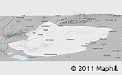 Gray Panoramic Map of Toli
