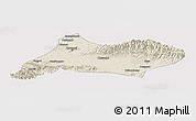 Shaded Relief Panoramic Map of Urumqi, cropped outside