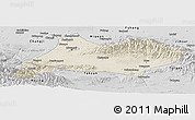 Shaded Relief Panoramic Map of Urumqi, desaturated