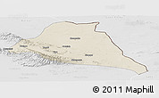 Shaded Relief Panoramic Map of Yiwu, lighten, desaturated