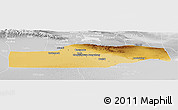 Physical Panoramic Map of Yuli, lighten, desaturated