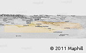 Satellite Panoramic Map of Yuli, desaturated