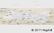 Classic Style Panoramic Map of Baqen