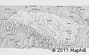 Silver Style 3D Map of Bomi