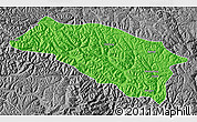 Political Map of Bomi, desaturated