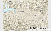 Shaded Relief 3D Map of Comai