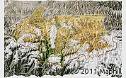 Satellite 3D Map of Cona, semi-desaturated