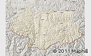 Shaded Relief Map of Cona, semi-desaturated