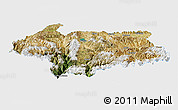 Satellite Panoramic Map of Cona, single color outside