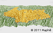 Savanna Style Panoramic Map of Cona