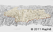 Shaded Relief Panoramic Map of Cona, desaturated