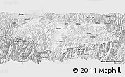 Silver Style Panoramic Map of Cona