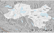 Gray 3D Map of Coqen