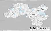 Gray 3D Map of Coqen, single color outside