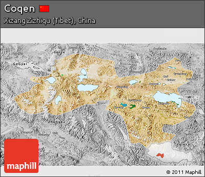 Satellite 3D Map of Coqen, desaturated