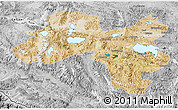 Satellite 3D Map of Coqen, desaturated