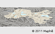 Shaded Relief Panoramic Map of Coqen, darken, semi-desaturated