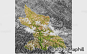 Satellite 3D Map of Dengqen, desaturated