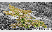 Satellite Panoramic Map of Dengqen, desaturated