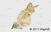 Satellite Map of Dinggye, single color outside