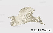 Shaded Relief Panoramic Map of Doilungdeqen, cropped outside