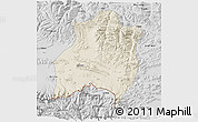 Shaded Relief 3D Map of Gamba, desaturated