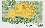 Savanna Style Panoramic Map of Gamba