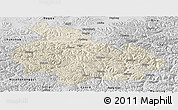Shaded Relief Panoramic Map of Gongbogyamda, desaturated