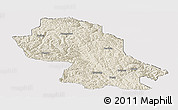 Shaded Relief Panoramic Map of Jomda, cropped outside