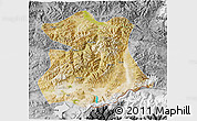 Satellite 3D Map of Kangmar, desaturated